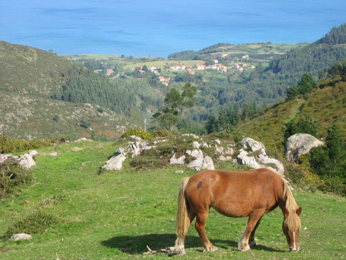 Hotel Fitu Colunga Εξωτερικό φωτογραφία